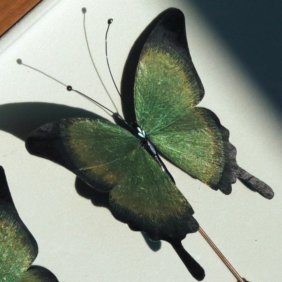 Handmade Butterfly Wing Brooch & Hairpiece – Silk Thread Ronghua Jewelry Inspired by Butterflies in Nature, Artisan Wearable Art & Meaningful Gift