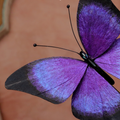 Handmade Butterfly Wing Brooch & Hairpiece – Silk Thread Ronghua Jewelry Inspired by Butterflies in Nature, Artisan Wearable Art & Meaningful Gift